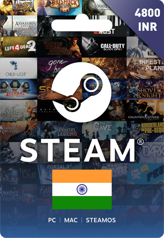 Steam Wallet Codes 4800 INR